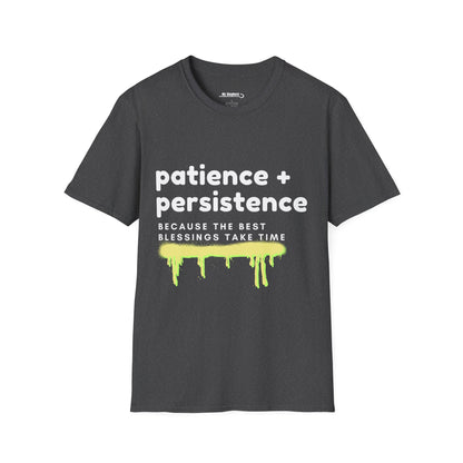 Patience and Persistence (sprayed)