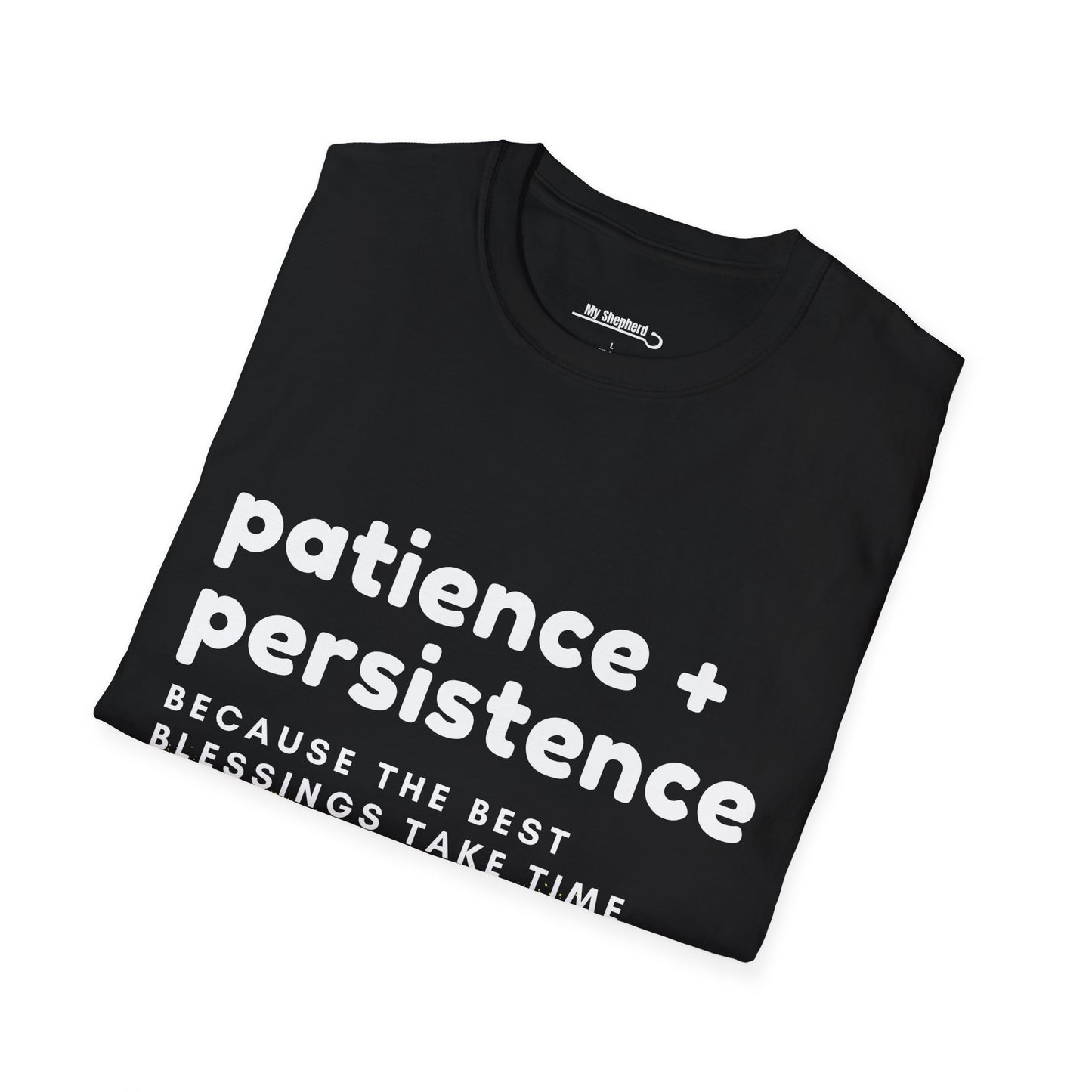 Patience and Persistence (sprayed)