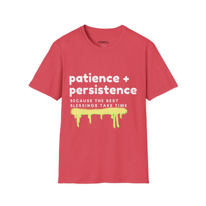 Patience and Persistence (sprayed)