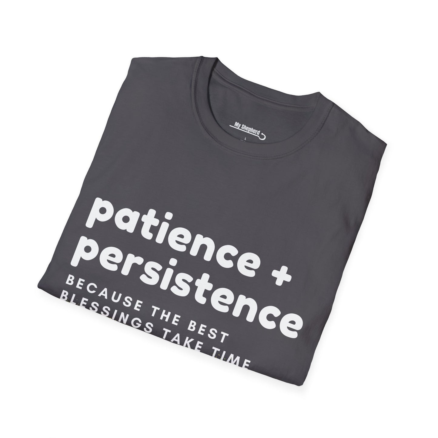 Patience and Persistence (sprayed)